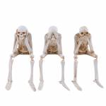 skeleton craft-resin-ornament-decoration-02