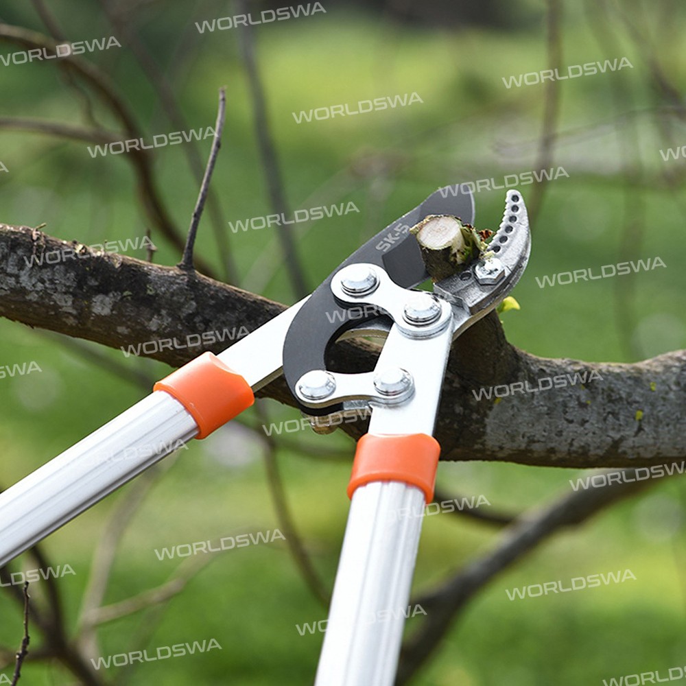 loppers sharp-anvil-lopper-08