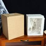 skeleton craft-resin-ornament-decoration-08