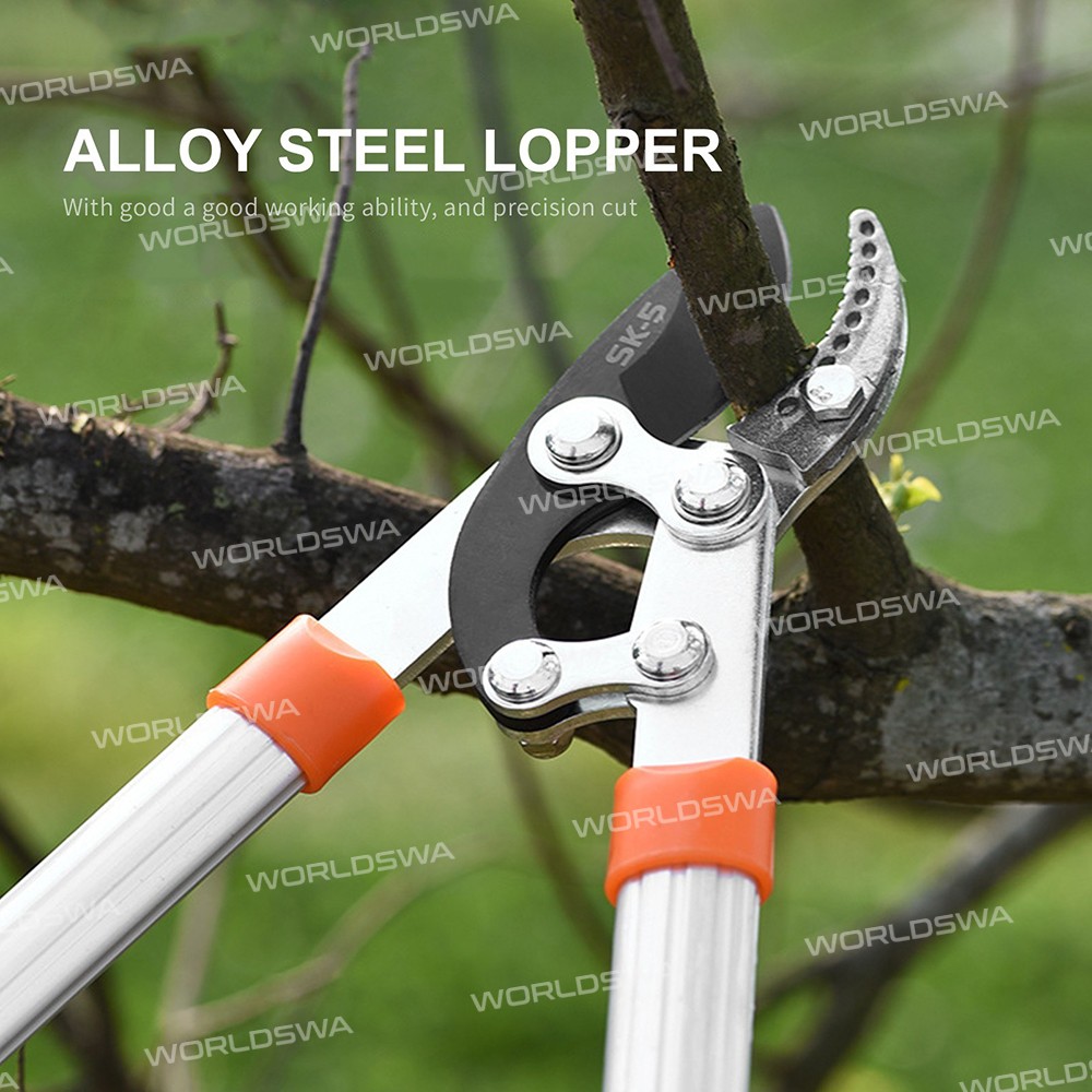 loppers sharp-anvil-lopper-03