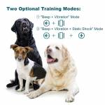 petsafe rechargeable-dog-training-device-03