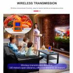 wireless meat-thermometer-with-4-probes-09