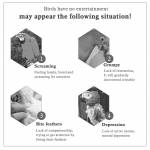 bird swing-perch-chewing-toy-for-birds-11