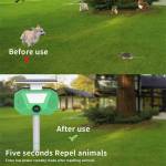 solar mole-repellent-ultrasonic-outdoor-pest-repeller-with-ip66-waterproof-06