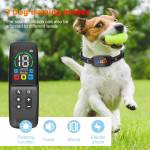 petsafe dog-training-collar-3-modes-beep-vibration-shock-02