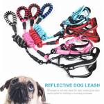 strong 5ft-reflective-dog-leash-04