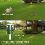 solar mole-repellent-ultrasonic-outdoor-pest-repeller-07