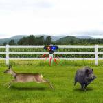 villaguard solar-energy-animal-repeller-with-motion-sensor-03