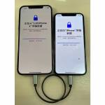 Lightning to Lightning OTG Cable for iPhone iPad Photo Video Wechat Record Data Migration