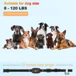 petsafe dog-training-collar-3-modes-beep-vibration-shock-04