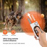dog bark-collar-rechargeable-electric-training-collar-05