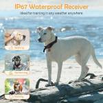 2600ft rechargeable-ip67-waterproof-remote-electric-dog-training-collar-03