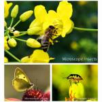 30mm to-120mm-distortion-free-long-range-universal-mobile-phone-macro-lens-3