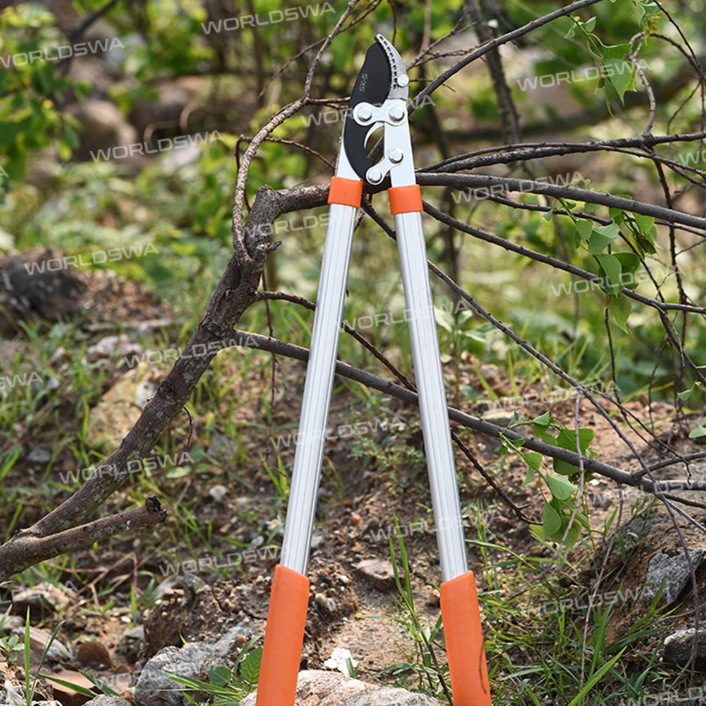 loppers sharp-anvil-lopper-10