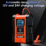 foxsur 12v-24v-car-battery-pulse-repair-charger-for-gel-wet-agm-lithium-lifepo4-battery-4