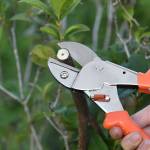 sekateurs steel-blade-pruning-shears-high-quality-garden-clippers-09