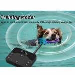 wireless electronic-pet-fence-2-in-1-for-1-dog-trainer-waterproof-08