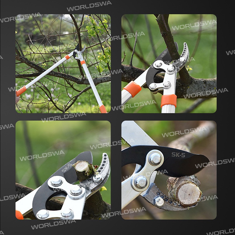 loppers sharp-anvil-lopper-04