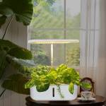 indoor plants-grow-light-24w-full-spectrum-104-led-desk-grow-light-12