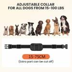 bark collar-remote-control-dog-training-collar-09