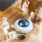 automatic cat-toy-electric-smart-gravity-ufo-self-15