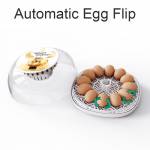 12 eggs-poultry-hatcher-egg-incubator-07