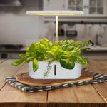 indoor plants-grow-light-24w-full-spectrum-104-led-desk-grow-light-09