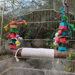 bird swing-perch-chewing-toy-for-birds-07