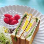 toasted sandwich-maker-non-stick-grilled-sandwich-maker-07