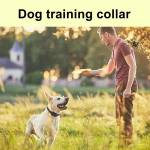 electric shock-dog-collar-remote-ultrasonic-dog--10
