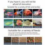 wifi intelligent-timing-automatic-feeder-13