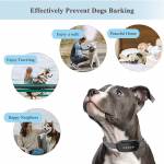 bark collar-for-dogs-adjustable-training-device--07