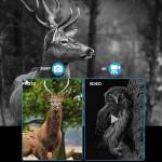 night vision-goggles-36mp-4k-digital-infrared-night-vision-4