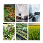 7l rechargeable-shouldered-sprinkler-handheld-electric-sprayer-04