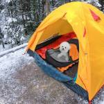 outdoor pet-dog-sleeping-bag-05