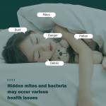 350w mattress-vacuum-cleaner-mite-removal-instrument-wireless-household-bed-vacuum-cleaner-10