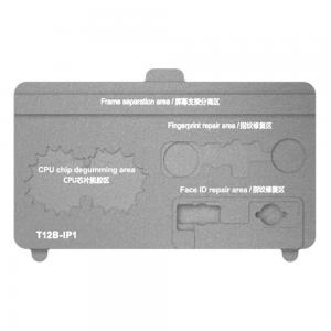 only T12B-IP1 Module