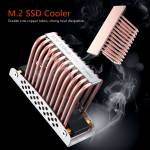 Double-sided Solid Composite Copper Tube Radiator with Thermal Pad compatible for 2280 NVMe M.2 SSD