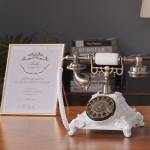 wedding party-audio-message-book-turntable-type-08