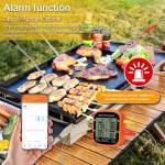 smart meat-thermometer-digital-wireless-with-dual-probes-07